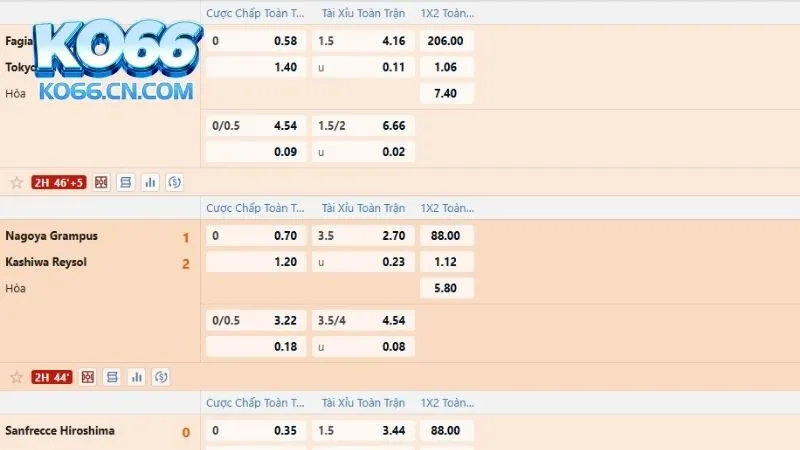 Thể thao KO66 là gì