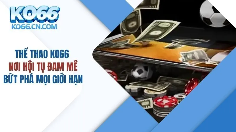 Thể Thao KO66: Nơi Hội Tụ Đam Mê, Bứt Phá Mọi Giới Hạn